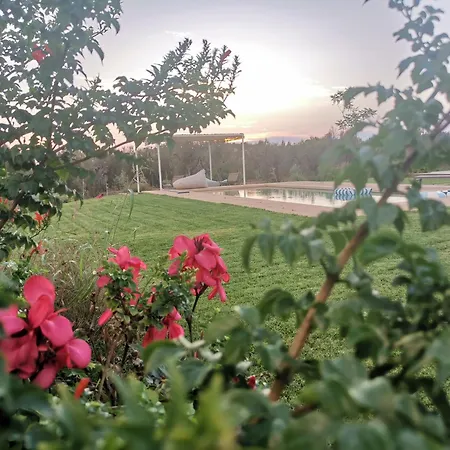 فيلة Lamia Stella مارينا دي بيسكولوس